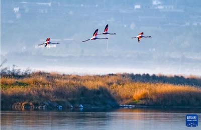  初冬時(shí)節(jié)，神州大地開(kāi)啟“美顏”模式  